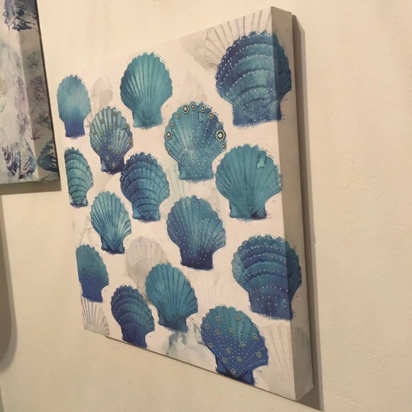 Seashell frame - Picture 2 of 3